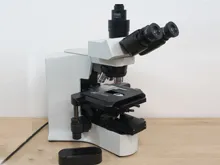オリンパス 生物顕微鏡 BX41TF